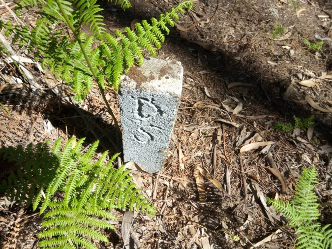 Terreno Comércio / Armazém para Venda em Nogueira e Silva Escura Foto 2