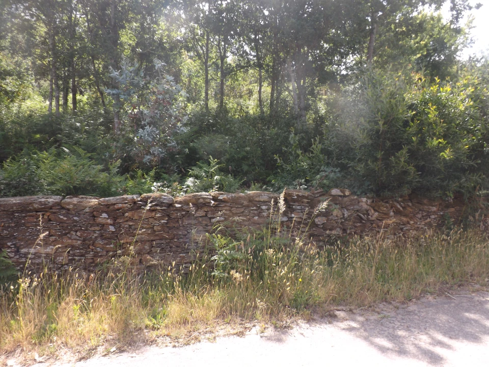 Terreno Agricola ou Rústico para Venda em Venade e Azevedo Foto 3