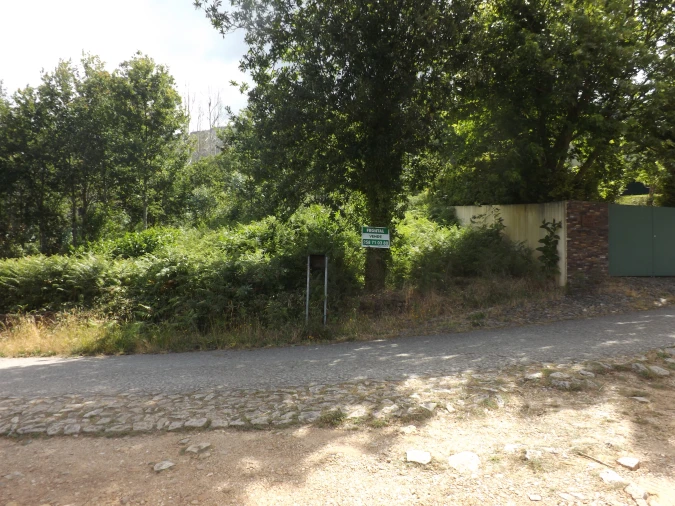 Terreno Agricola ou Rústico para Venda em Venade e Azevedo Foto 2