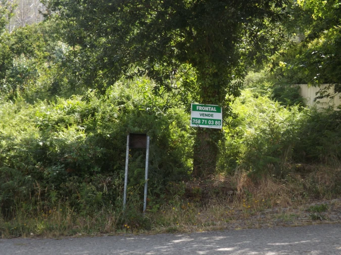 Terreno Agricola ou Rústico para Venda em Venade e Azevedo