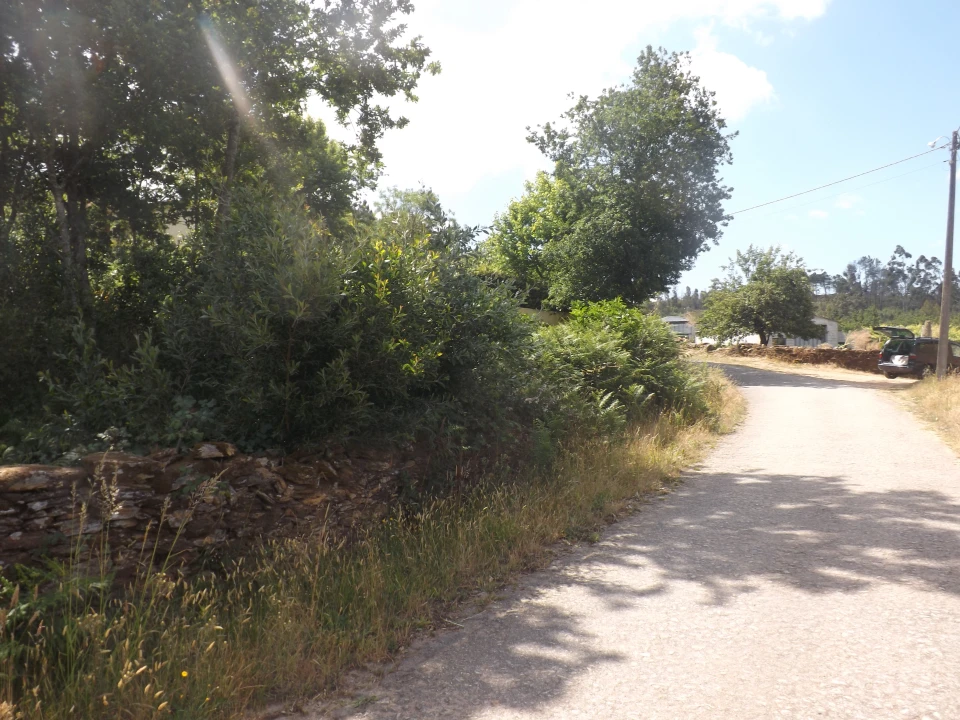 Terreno Agricola ou Rústico para Venda em Venade e Azevedo Foto 4