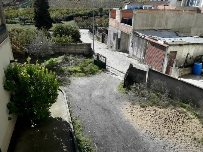 Armazém para Venda em Vila Flor e Nabo Foto 5