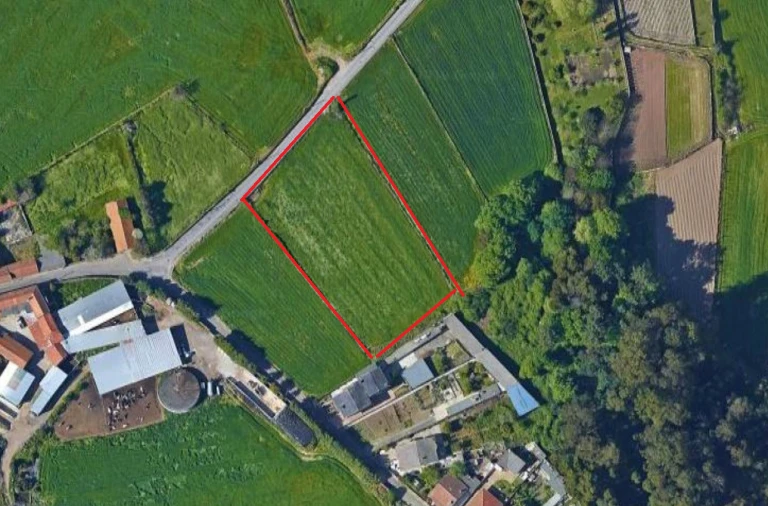 Terreno para Venda em Coronado (São Romão e São Mamede) Foto 1