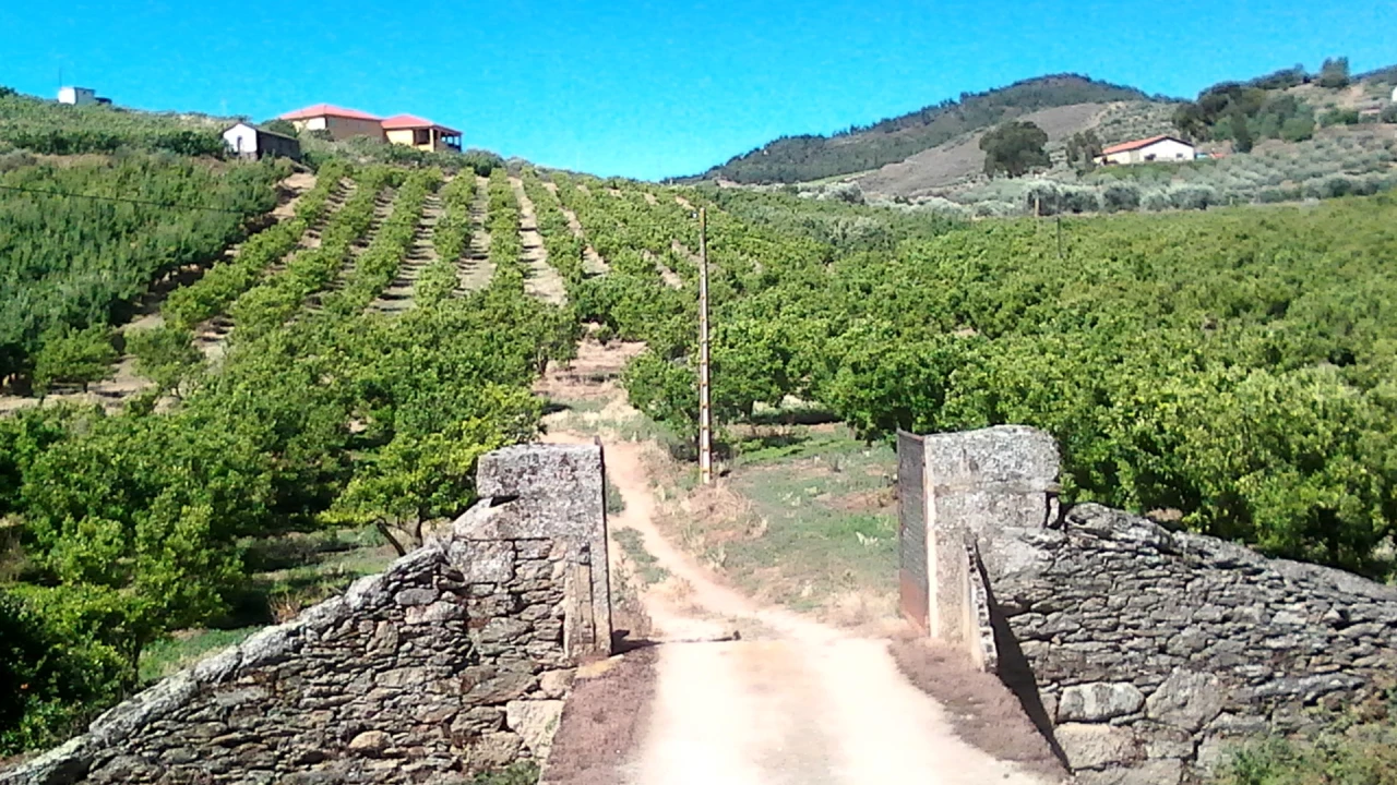 Quinta T0 para Venda em Santa Comba de Vilariça Foto 1