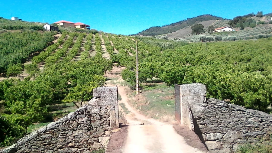 Quinta T0 para Venda em Santa Comba de Vilariça Foto 1