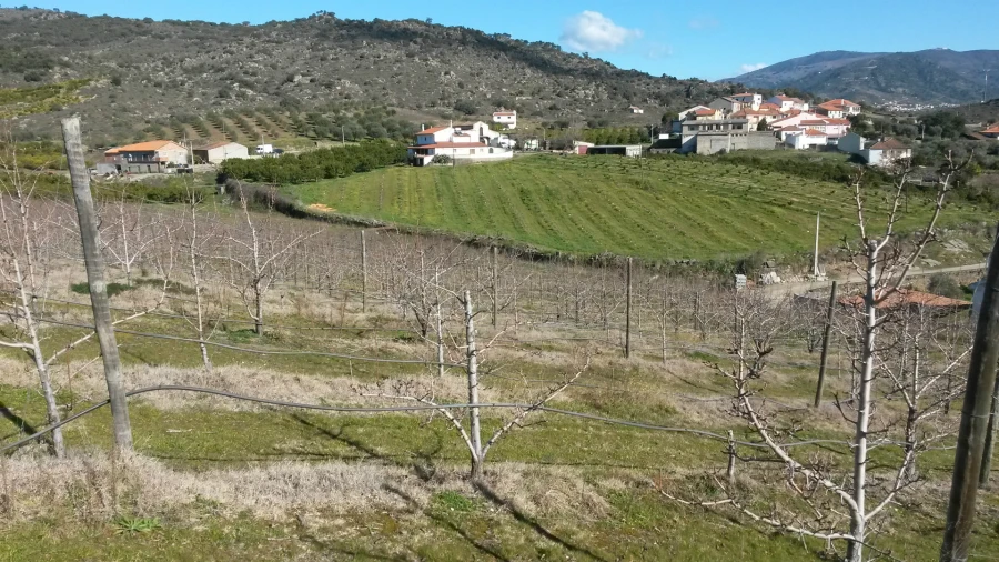 Quinta T0 para Venda em Santa Comba de Vilariça Foto 6