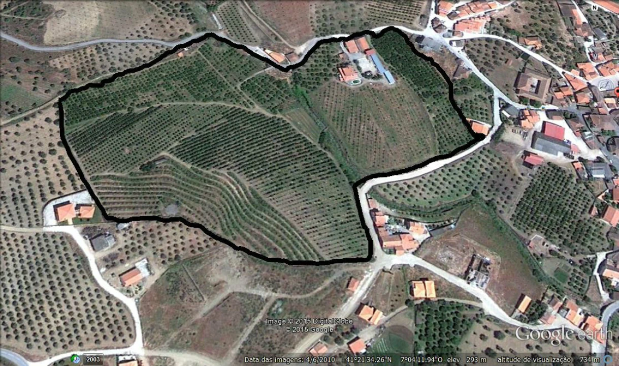 Quinta T0 para Venda em Santa Comba de Vilariça Foto 9