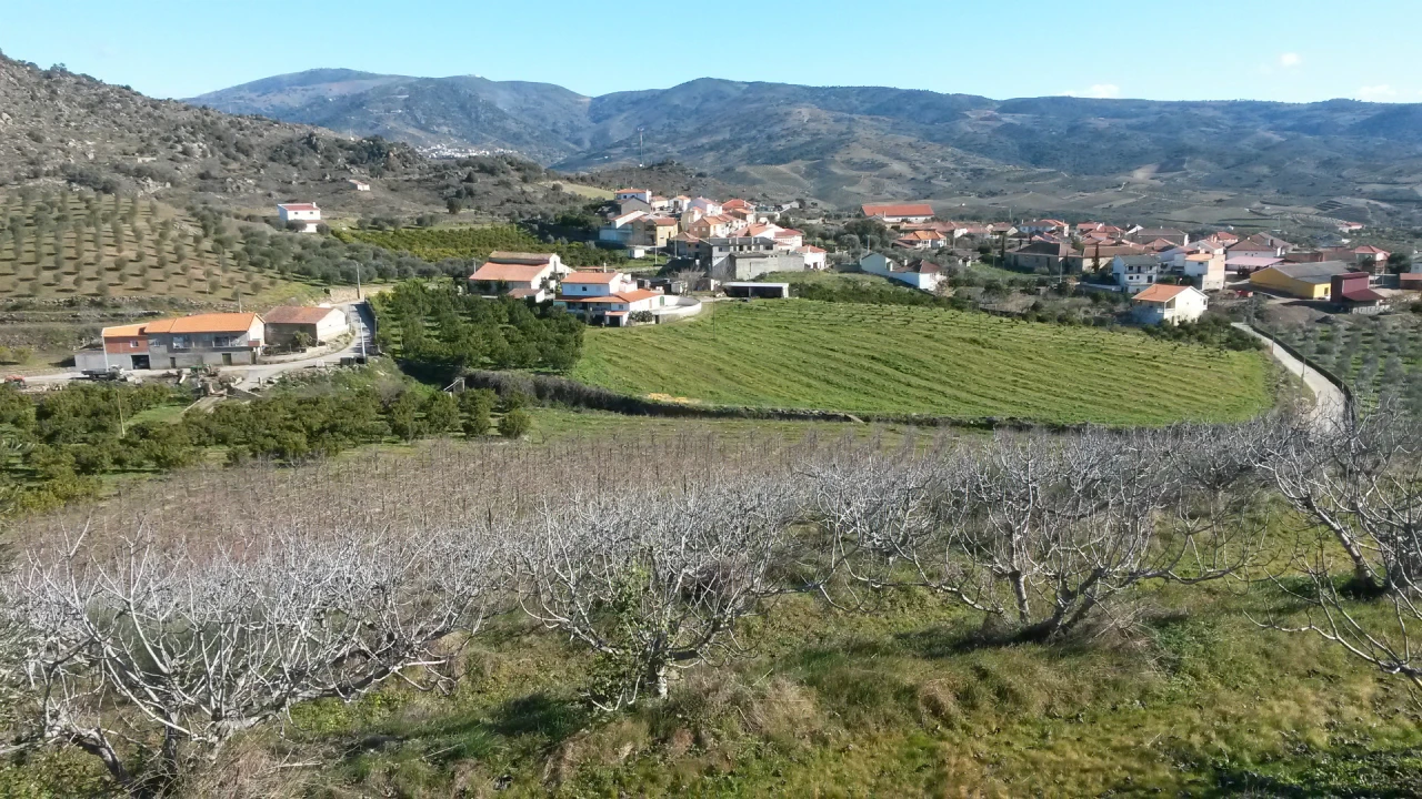 Quinta T0 para Venda em Santa Comba de Vilariça Foto 5