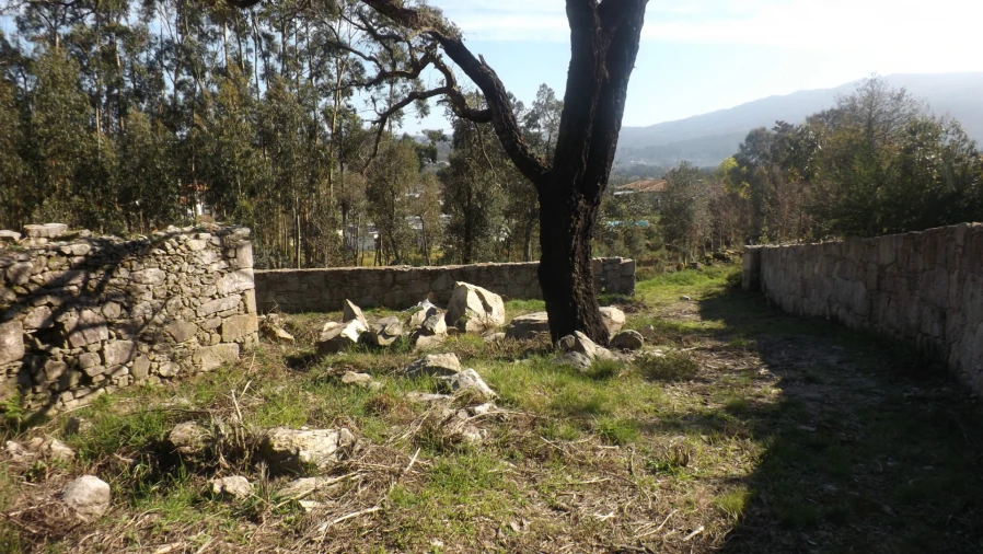 Moradia T0 para Venda em Riba de Ancora Foto 3