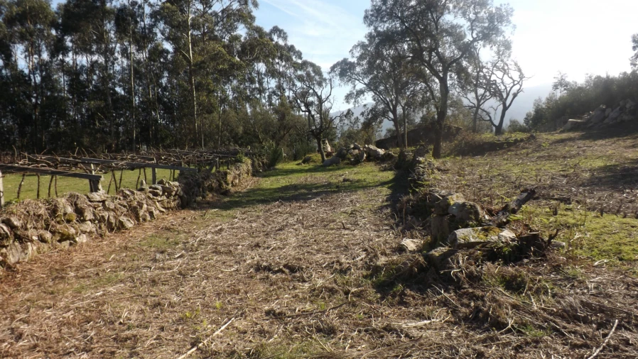 Moradia T0 para Venda em Riba de Ancora Foto 14