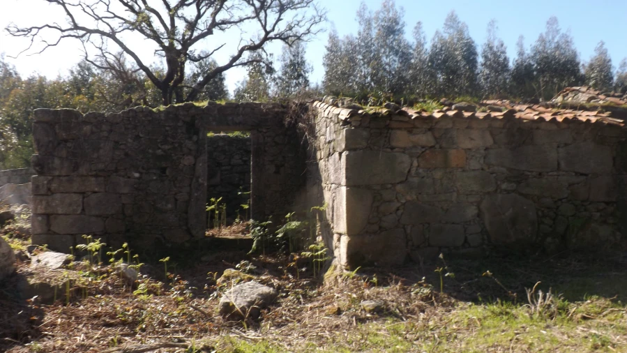 Moradia T0 para Venda em Riba de Ancora Foto 12