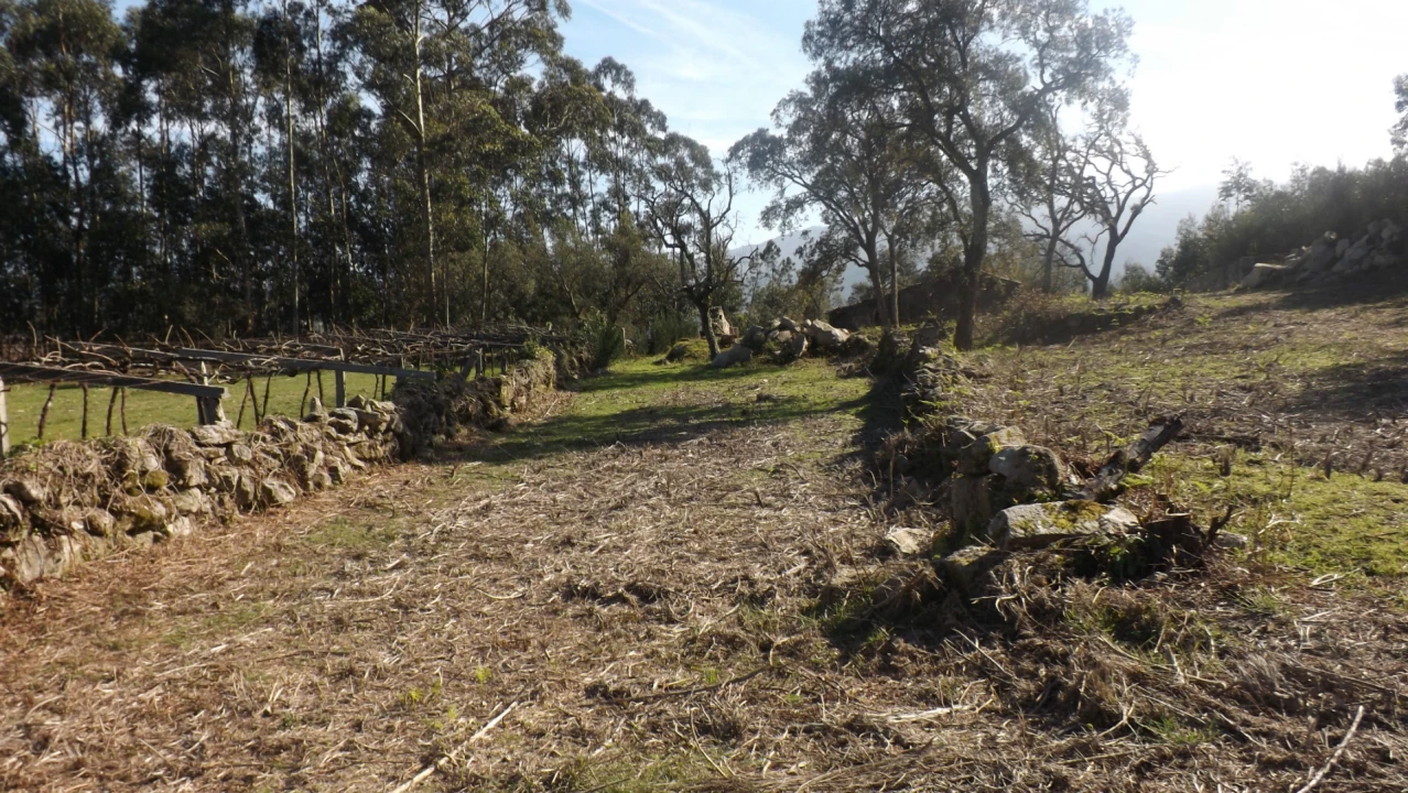 Moradia T0 para Venda em Riba de Ancora Foto 14