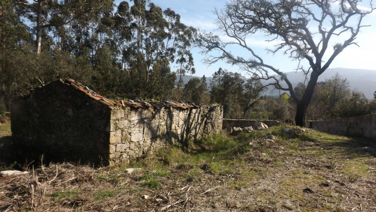 Moradia T0 para Venda em Riba de Ancora Foto 10