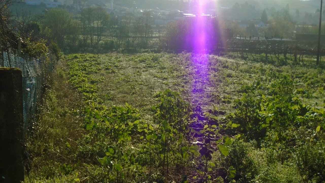 Terreno para Venda em Alfena Foto 6