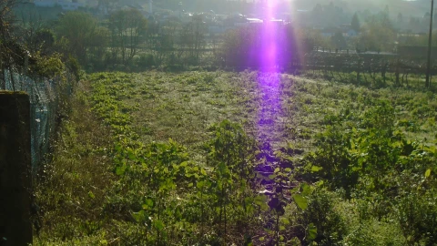 Terreno para Venda em Alfena