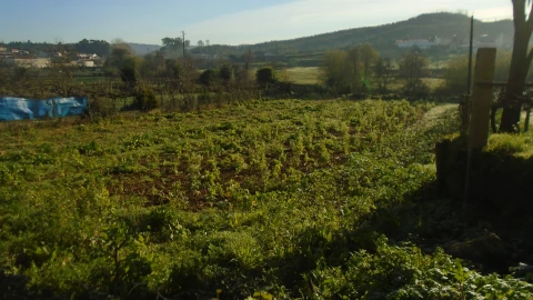 Terreno para Venda em Alfena