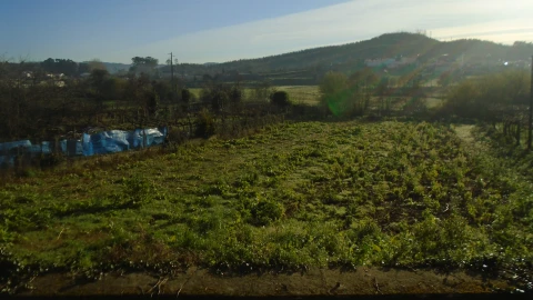 Terreno para Venda em Alfena