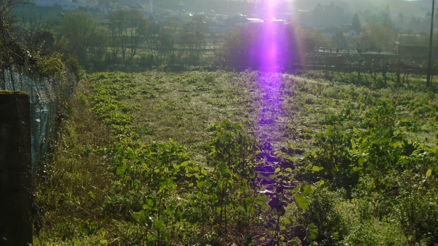 Terreno para Venda em Alfena Foto 6