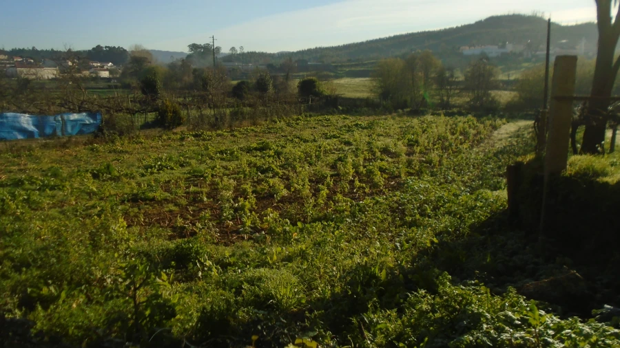 Terreno para Venda em Alfena Foto 5
