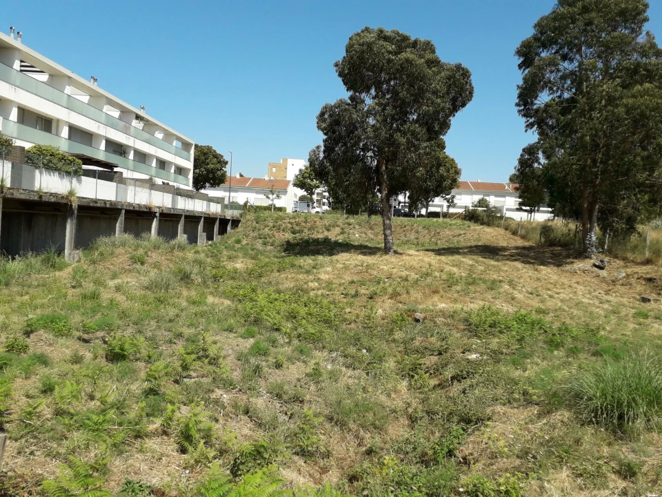 Terreno para Venda em Milheiros Foto 8