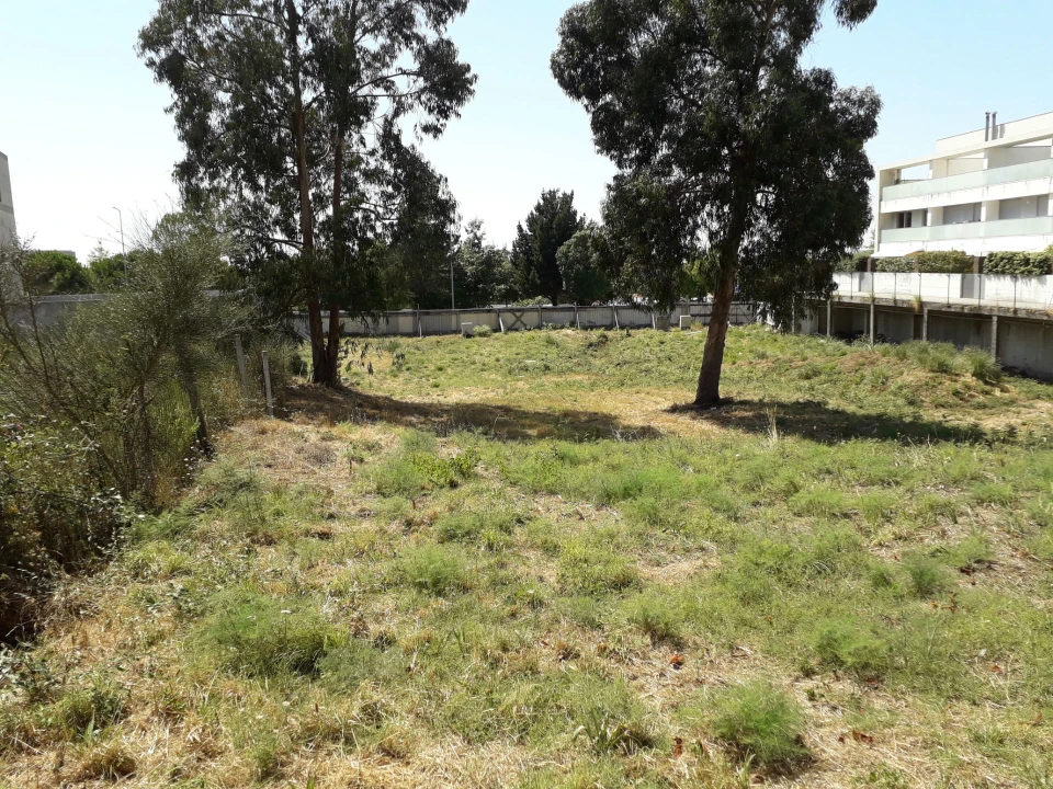 Terreno para Venda em Milheiros Foto 2