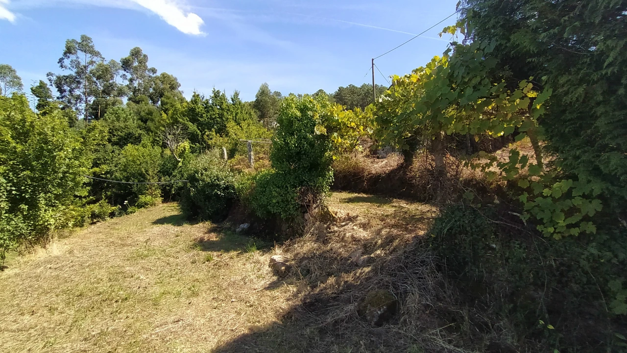 Terreno para Venda em Gondarem Foto 5