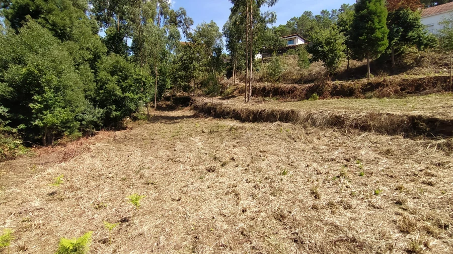 Terreno para Venda em Gondarem Foto 12