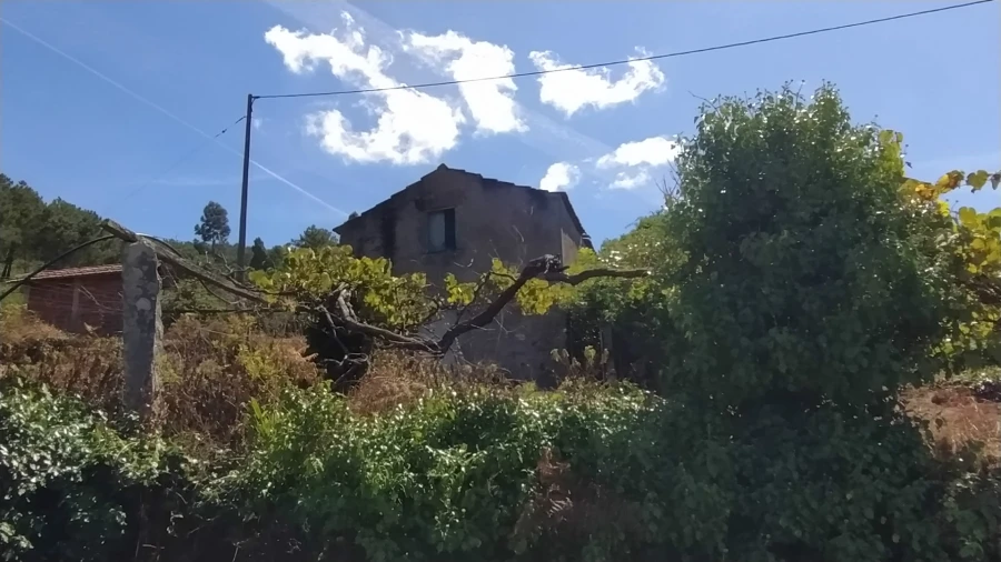 Terreno para Venda em Gondarem Foto 7