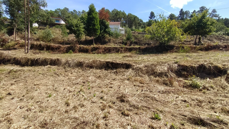 Terreno para Venda em Gondarem Foto 13