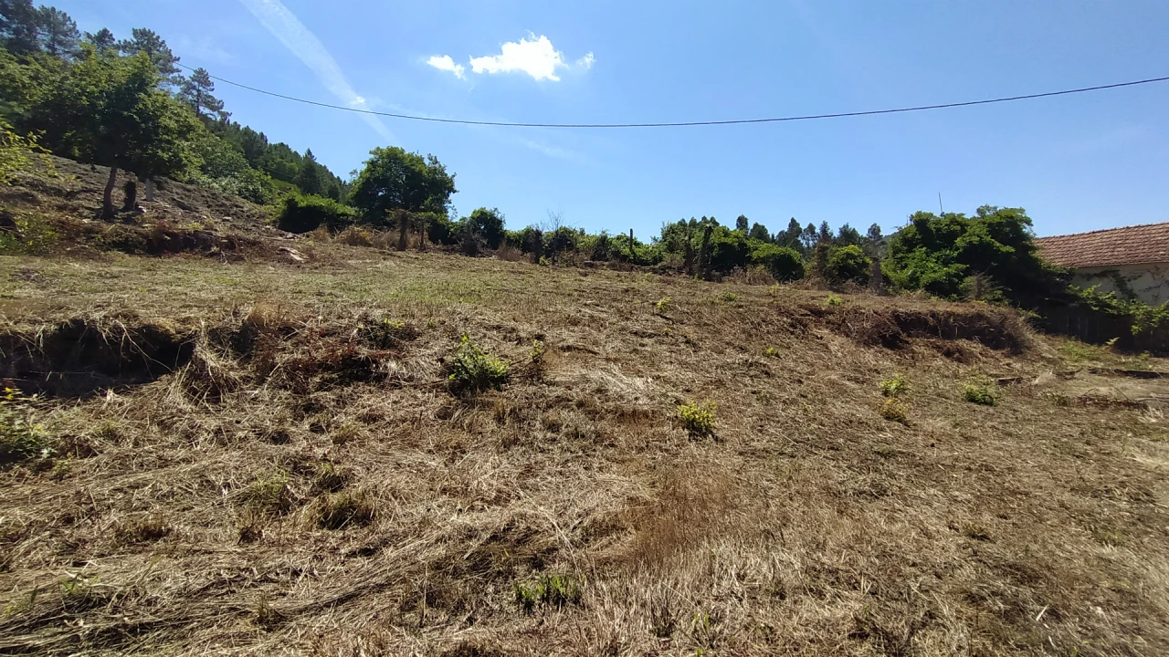 Terreno para Venda em Gondarem Foto 14