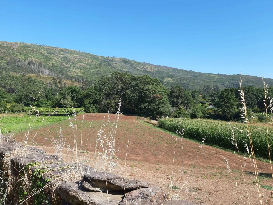 Terreno para Venda em Venade e Azevedo Foto 16
