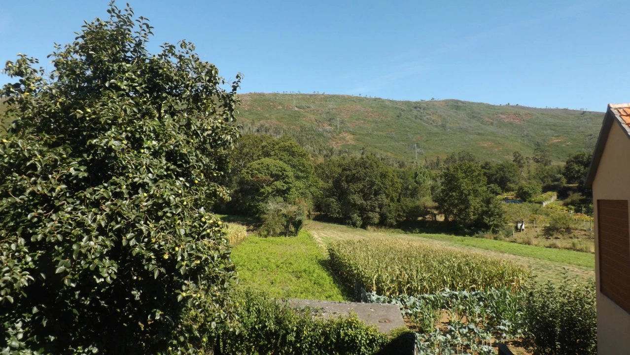 Terreno para Venda em Venade e Azevedo Foto 15