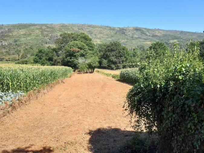 Terreno para Venda em Venade e Azevedo Foto 13