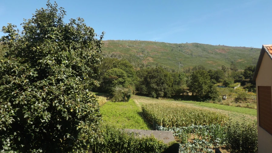 Terreno para Venda em Venade e Azevedo Foto 15