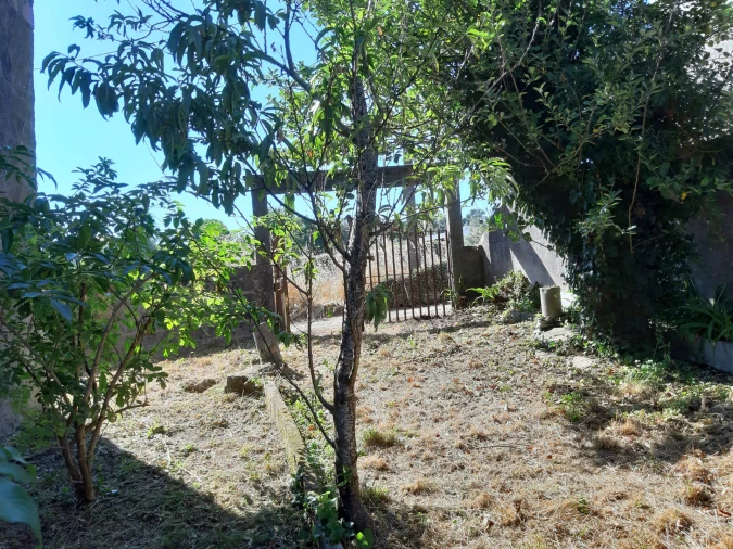 Terreno para Venda em Venade e Azevedo Foto 7