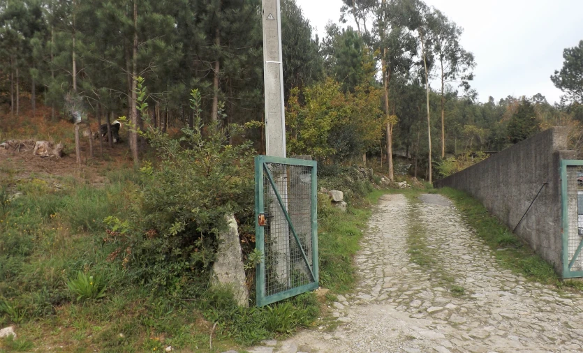 Terreno para Venda em Riba de Ancora Foto 5