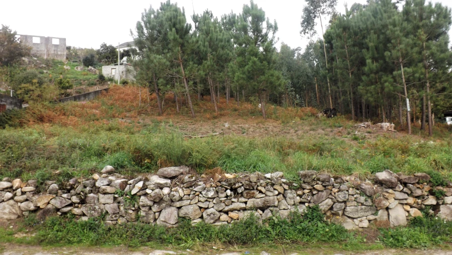 Terreno para Venda em Riba de Ancora Foto 2