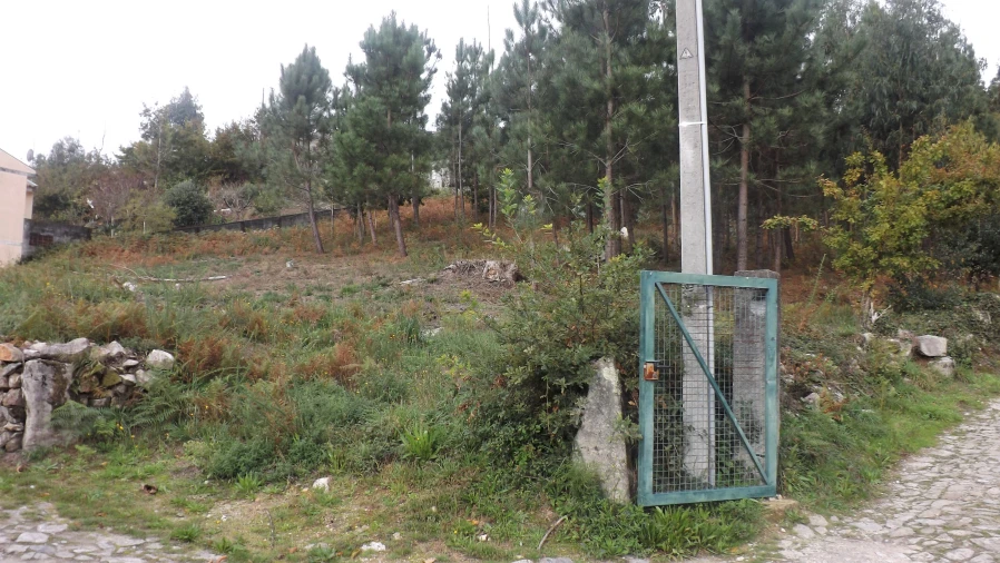 Terreno para Venda em Riba de Ancora Foto 6