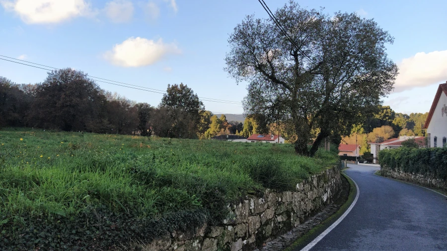 Terreno para Venda em Gondarem Foto 5