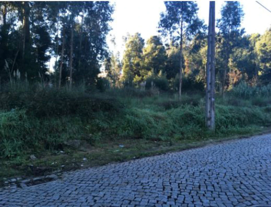 Terreno Agricola ou Rústico para Venda em Pedroso e Seixezelo Foto 6