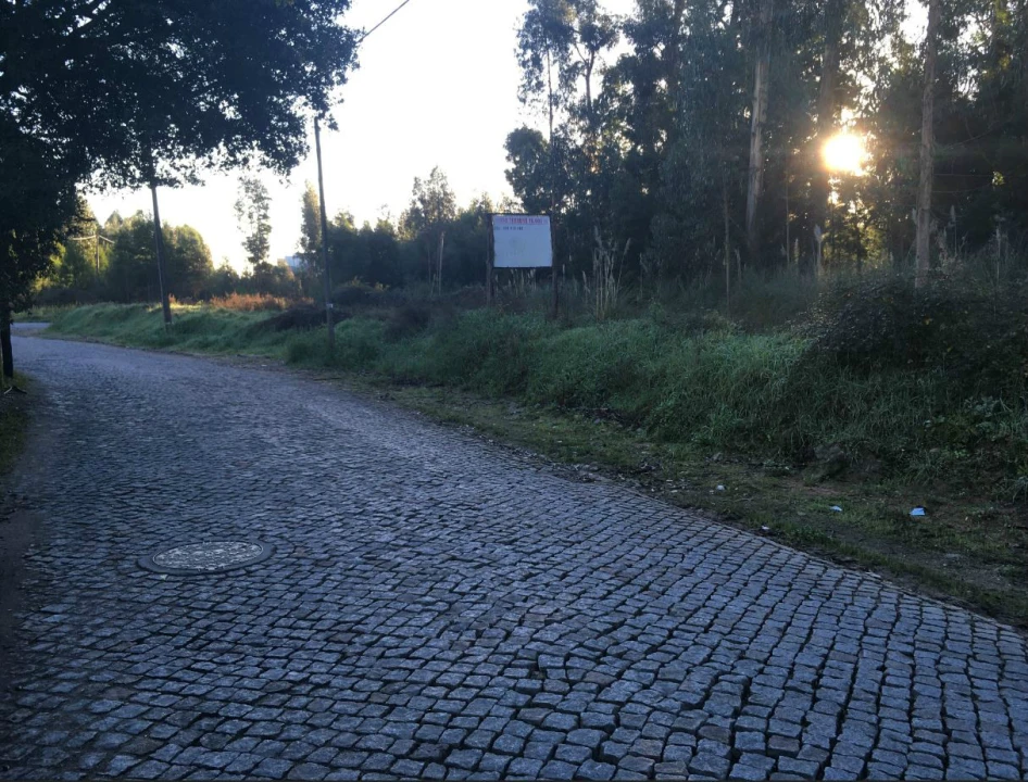 Terreno Agricola ou Rústico para Venda em Pedroso e Seixezelo Foto 11