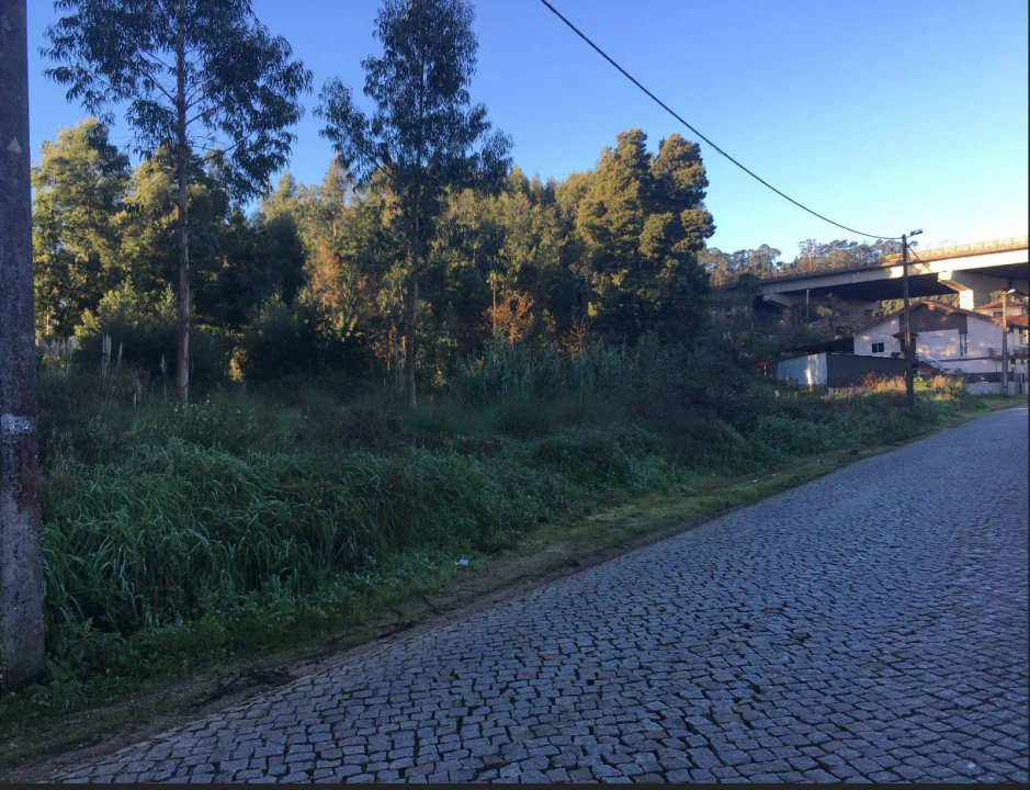 Terreno Agricola ou Rústico para Venda em Pedroso e Seixezelo Foto 8