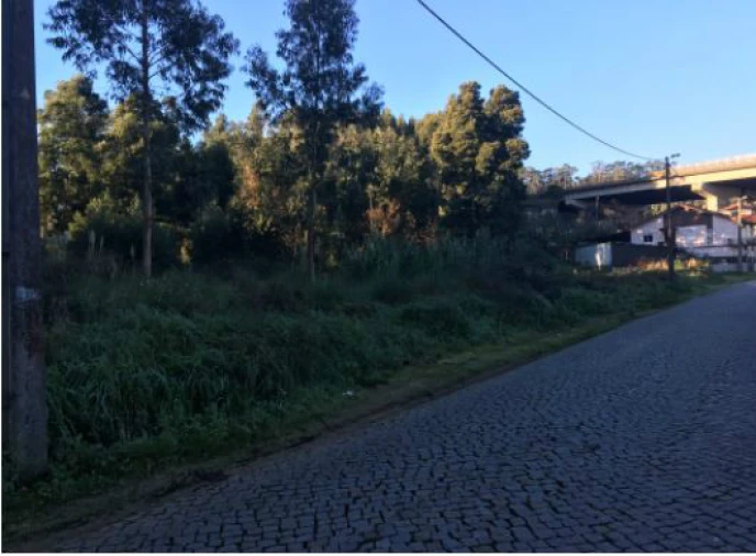 Terreno Agricola ou Rústico para Venda em Pedroso e Seixezelo Foto 9