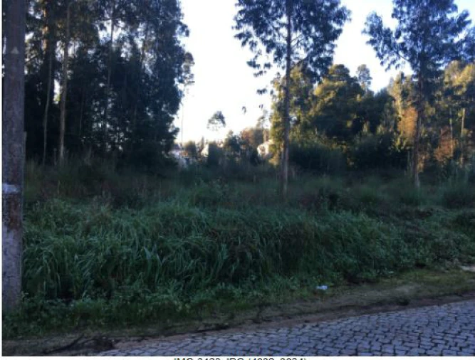 Terreno Agricola ou Rústico para Venda em Pedroso e Seixezelo Foto 4