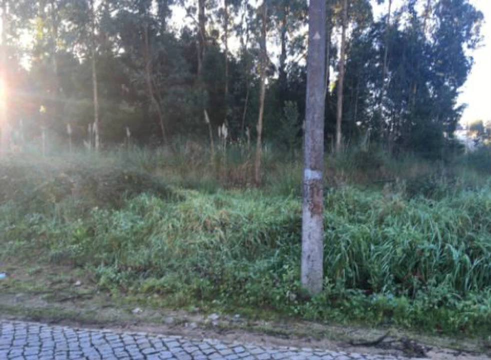 Terreno Agricola ou Rústico para Venda em Pedroso e Seixezelo Foto 2