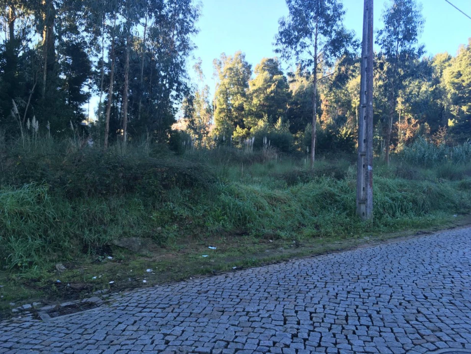 Terreno Agricola ou Rústico para Venda em Pedroso e Seixezelo Foto 7