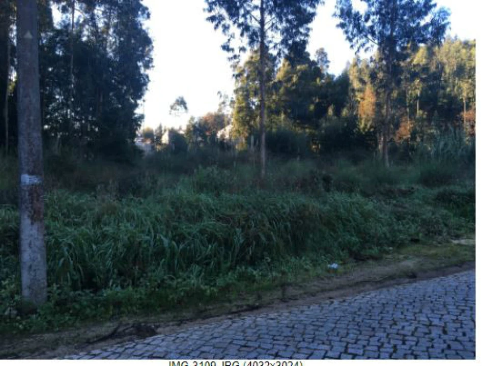 Terreno Agricola ou Rústico para Venda em Pedroso e Seixezelo Foto 5