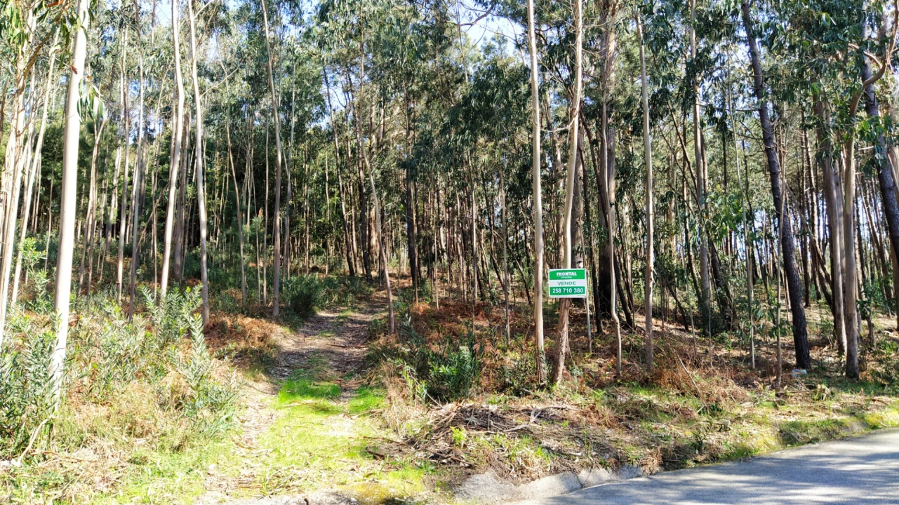 Terreno Agricola ou Rústico para Venda em Caminha (Matriz) e Vilarelho Foto 1