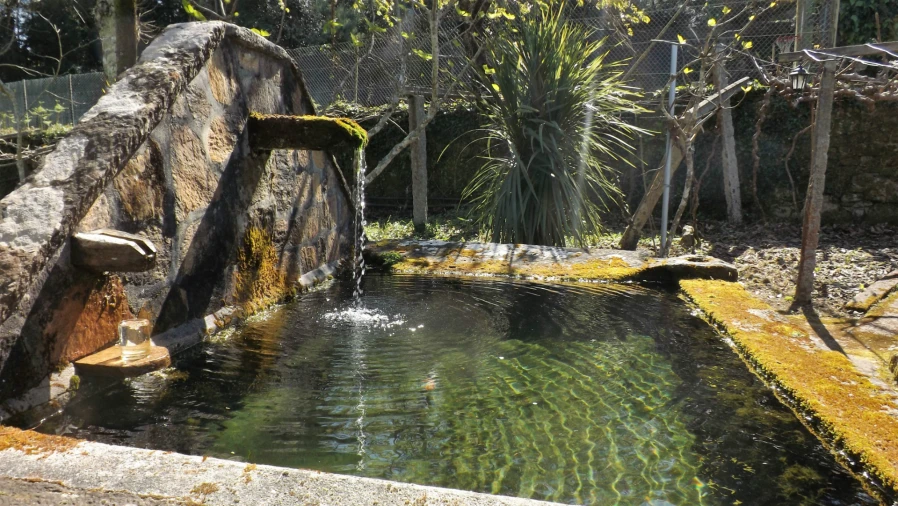 Quinta T5 para Venda em Vilar de Mouros Foto 17