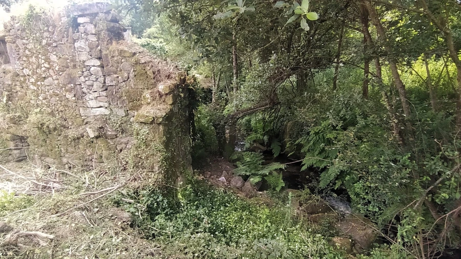 Terreno para Venda em Riba de Ancora Foto 13